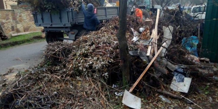 Навіть таке є: у Тернополі розчищали стихійні сміттєзвалища