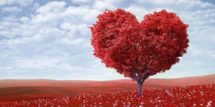 У Тернополі відзначили людей із “чуйним серцем”