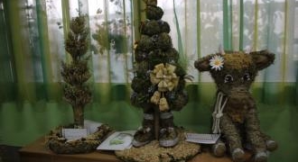 У Тернополі відбувся конкурс традицій та творчості