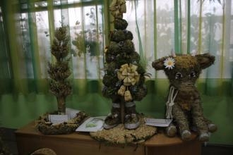 У Тернополі відбувся конкурс традицій та творчості