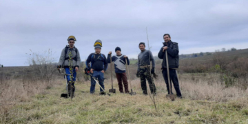 Компанія «Контінентал» продовжує на Тернопільщині реалізацію екологічної акції «Марафон лип»