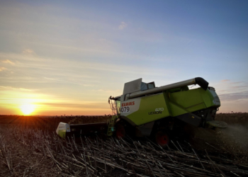 «Контінентал Фармерз Груп» підбиває підсумки збору пізніх зернових культур