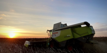 «Контінентал Фармерз Груп» підбиває підсумки збору пізніх зернових культур