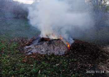 На території Тернопільської громади заборонено спалювати листя та суху рослинність