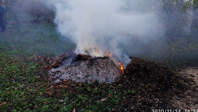 На території Тернопільської громади заборонено спалювати листя та суху рослинність