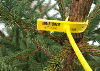 З чіпом чи без: на Тернопільщині перевірятимуть пухнастих красунь