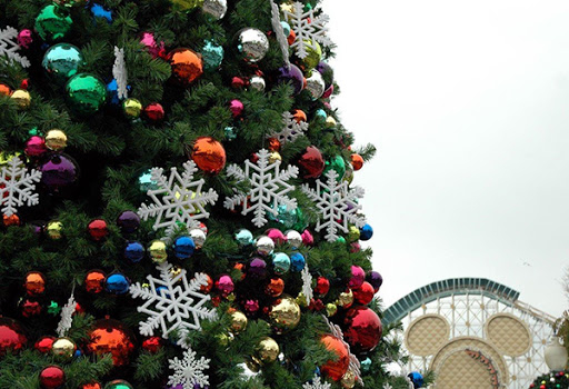 За два тижні до початку свят: як Тернопіль готується?