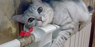 У Тернополі зроблять перерахунок за відсутність тепла у домівках