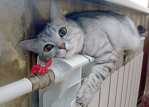 У Тернополі зроблять перерахунок за відсутність тепла у домівках