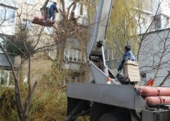 У Тернополі проводять формувальну обрізку дерев