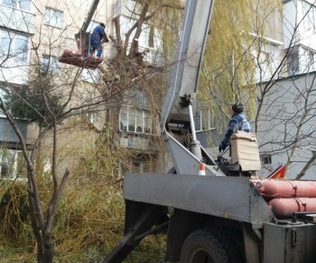 У Тернополі проводять формувальну обрізку дерев