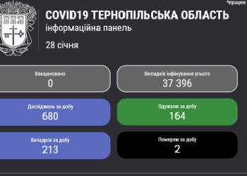 У Тернопільській області запрацювала інформаційна модель коронавірусної статистики