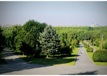 У Тернополі оперативно розшукали зниклу дитину