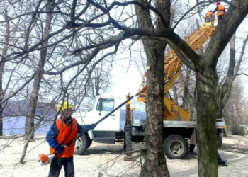 На Тернопільщині гілка вбила чоловіка