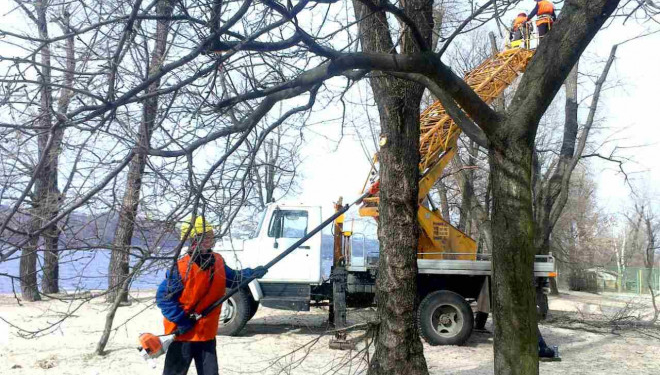 На Тернопільщині гілка вбила чоловіка