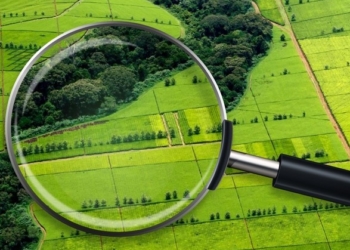 Колишній очільник одного із районних міст Тернопільщини постане перед судом