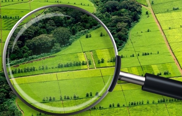 Колишній очільник одного із районних міст Тернопільщини постане перед судом