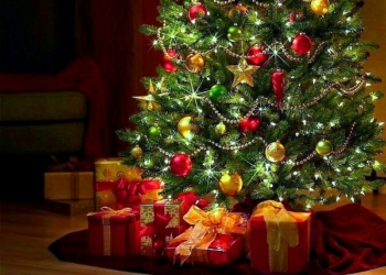 Новорічні ялинки: як правильно їх встановити у тернопільських домівках?