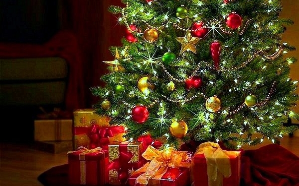 Новорічні ялинки: як правильно їх встановити у тернопільських домівках?