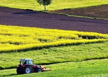 На Тернопільщині посадовець передав державну землю у приватну власність
