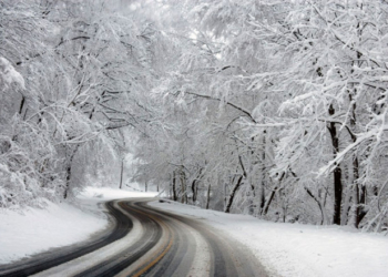 На Тернопільщині закатували чоловіка та викинули на вулицю