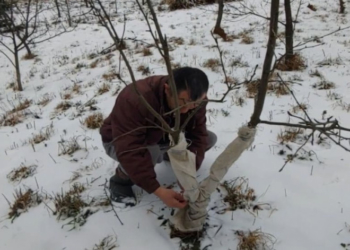 На Тернопільщині виявили чоловіка,  який виловлював диких тварин поблизу приватних територій