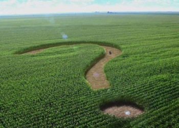 На Тернопільщині намагалися продати землю під закладом освіти