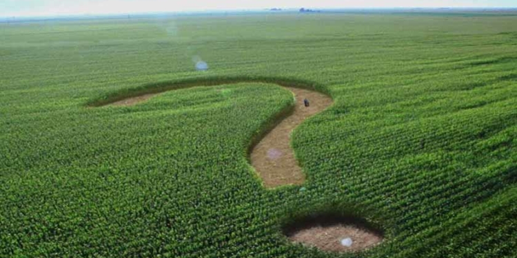 На Тернопільщині намагалися продати землю під закладом освіти