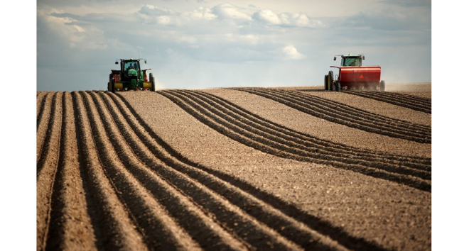 На Тернопільщині через суд повернули землю у власність навчального закладу