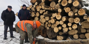 На Тернопільщині перевіряють лісогосподарські підприємства