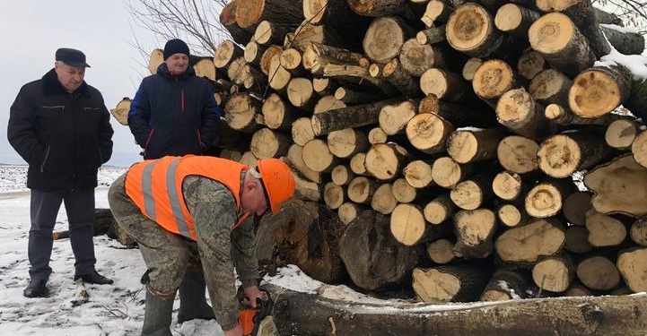 На Тернопільщині перевіряють лісогосподарські підприємства
