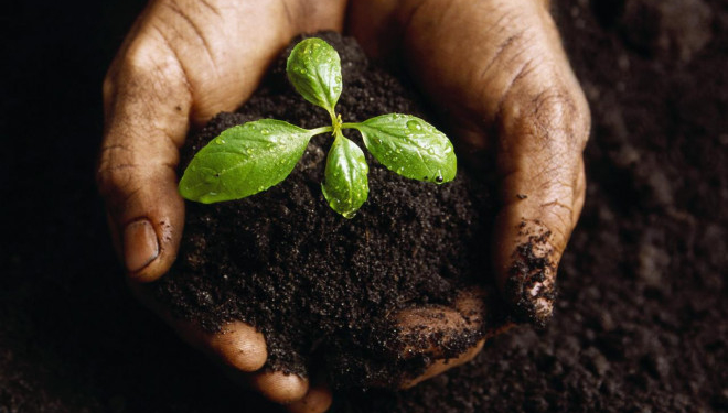 «Нікого не заставлятимуть продавати свої паї», – Володимир Стахів