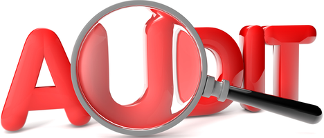 На Тернопільщині проводять аудит лісових господарств