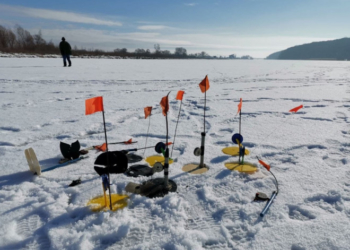 У населених пунктах Тернопільської громади муніципальна інспекція виявила ряд порушень Правил благоустрою та природоохоронного господарства