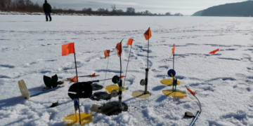 У населених пунктах Тернопільської громади муніципальна інспекція виявила ряд порушень Правил благоустрою та природоохоронного господарства