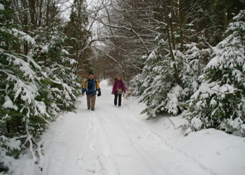 На Тернопільщині відбулися ювілейні змагання з мандрівництва