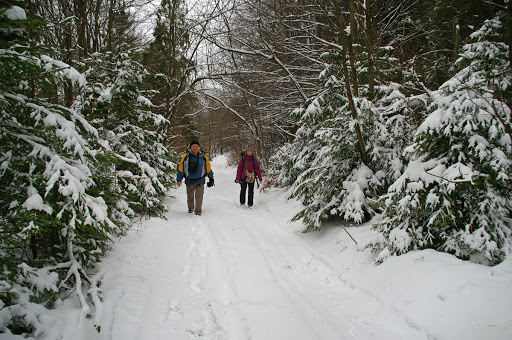 На Тернопільщині відбулися ювілейні змагання з мандрівництва