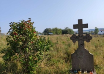 Розповіли таємниці військових поховань у Струсові на Тернопільщині