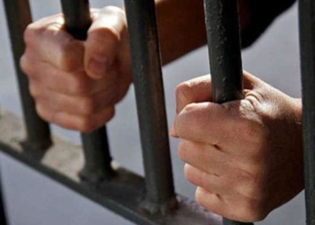 Перевірки тривають: на Тернопільщині у пенітенціарному закладі знайшли заборонені речі