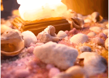 Бережемо здоров’я: у Тернополі працює безкоштовна соляна кімната