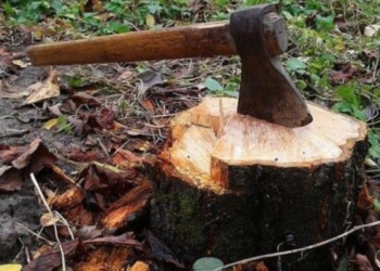 На Тернопільщині підприємство сплатить державі понад мільйон гривень