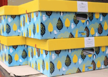 Пакунок немовляти чи кошти?: жителям Тернопільщини розповіли алгоритм отримання допомоги для новонародженних