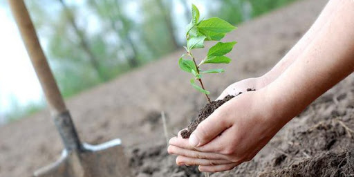На Тернопільщині пройде “День благоустрою області”