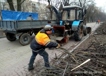 У Тернополі триває санітарна обрізка дерев