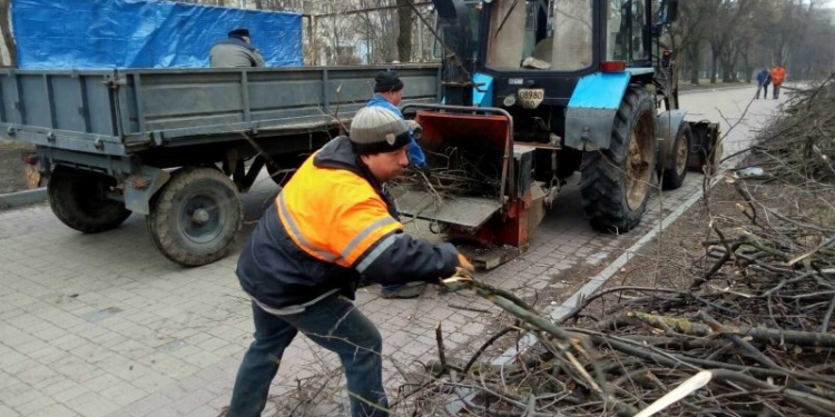 У Тернополі триває санітарна обрізка дерев