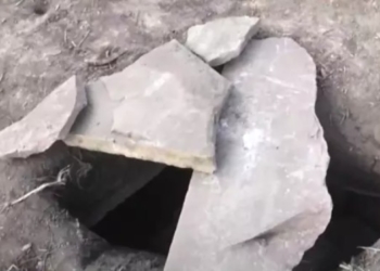 Саркофаг, якому майже 5000 років, випадково виявили в селі на Тернопільщині (Фото)