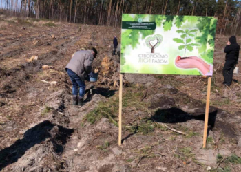 Озеленення області: на Тернопільщині розпочалася весняна посадка лісів