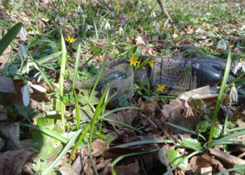 На Теребовлянщині у смітті потопає ботанічна пам’ятка природи (Фото)