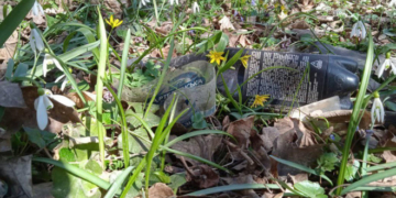 На Теребовлянщині у смітті потопає ботанічна пам’ятка природи (Фото)