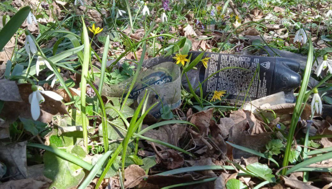 На Теребовлянщині у смітті потопає ботанічна пам’ятка природи (Фото)